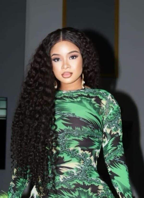 Burmese Curl 36 2