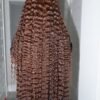 Burmese Curl 36 Luxe 2