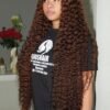Burmese Curl 36 Luxe 4