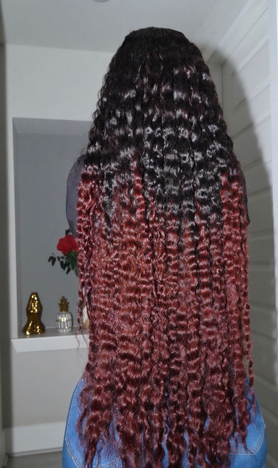 Burmese Curl 36 Elite 1