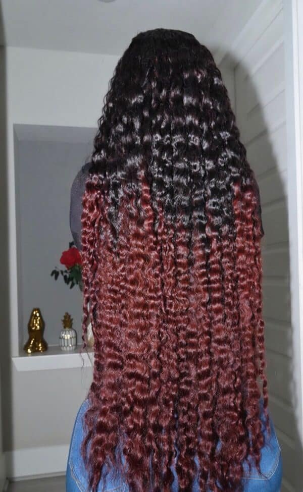 Burmese Curl 36 Elite 2